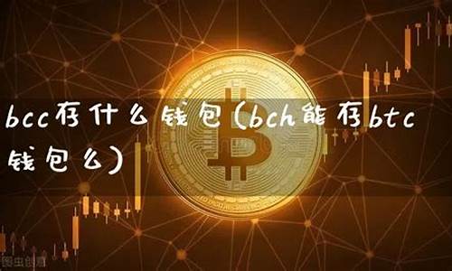 bch能存btc钱包么(btc能买东西吗